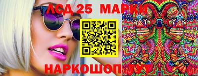 амф Новозыбков