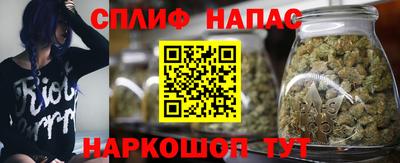 амф Новозыбков