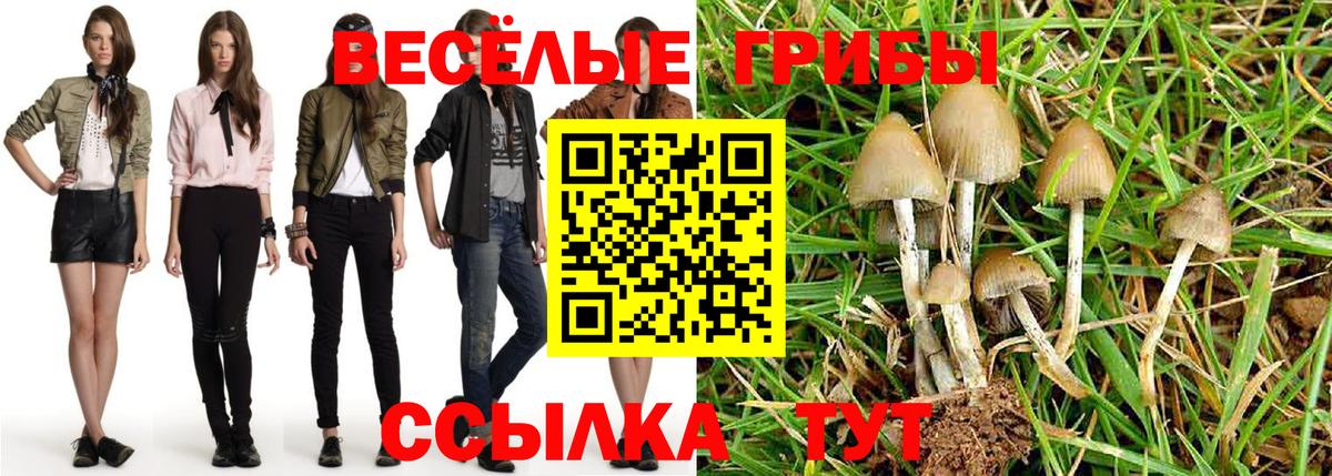 Меф  Alpha PVP СОЛЬ   Экстази  Меф МЯУ МЯУ   ГАШ  Вход с VPN  Спасск-Дальний  Конопля 