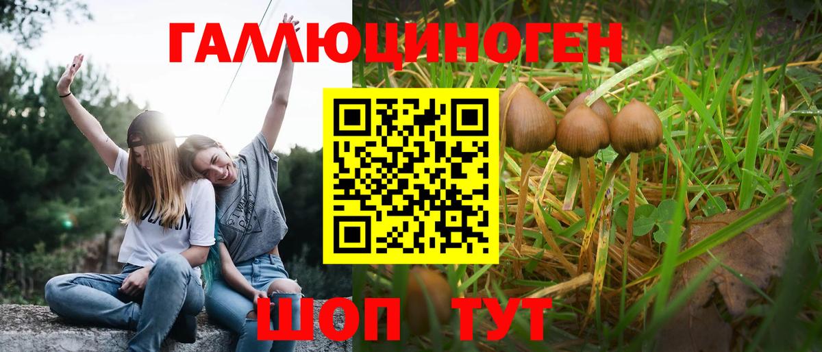 Псилоцибиновые грибы MAGIC MUSHROOMS  Вход с VPN  Спасск-Дальний 